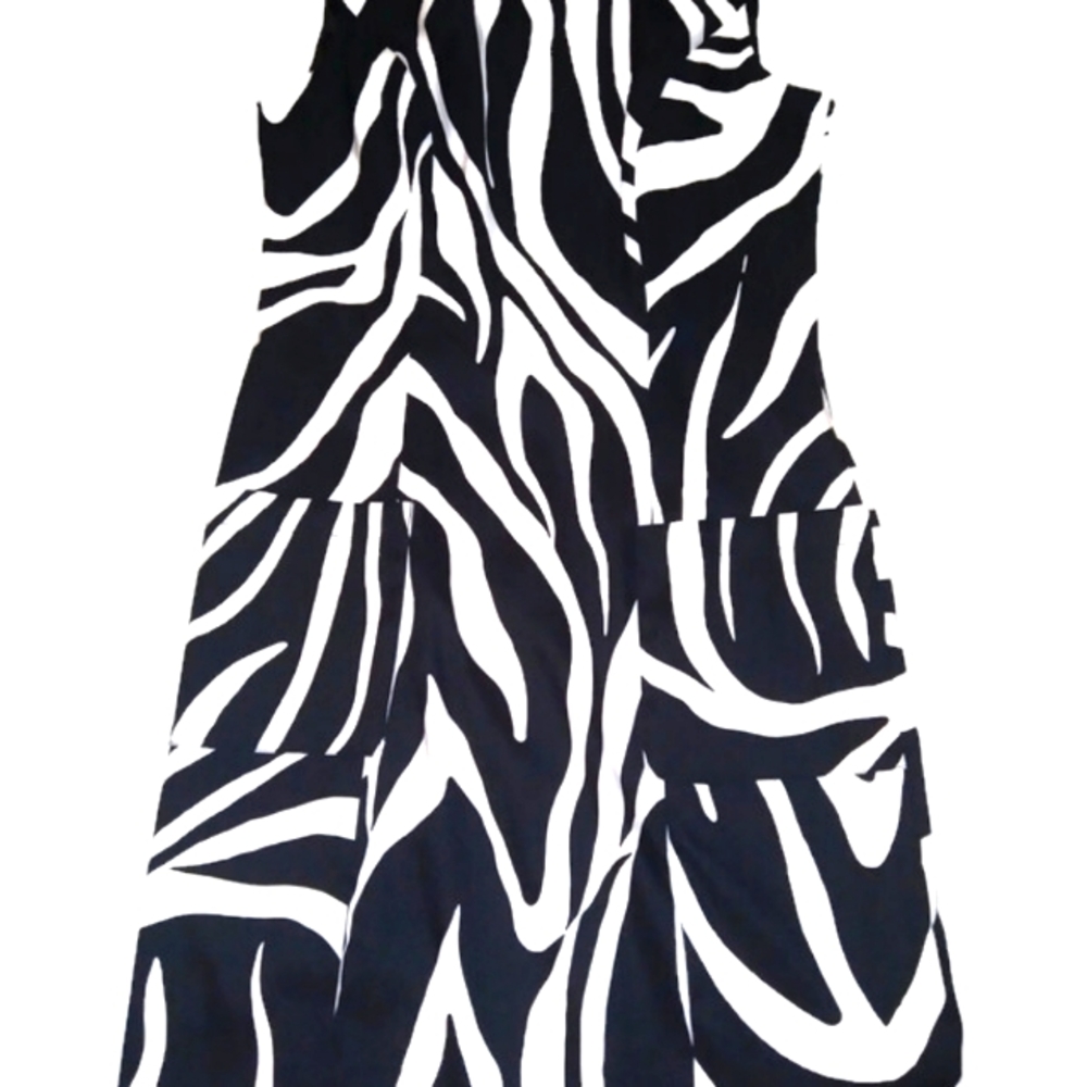 Alyx limited zebra dress